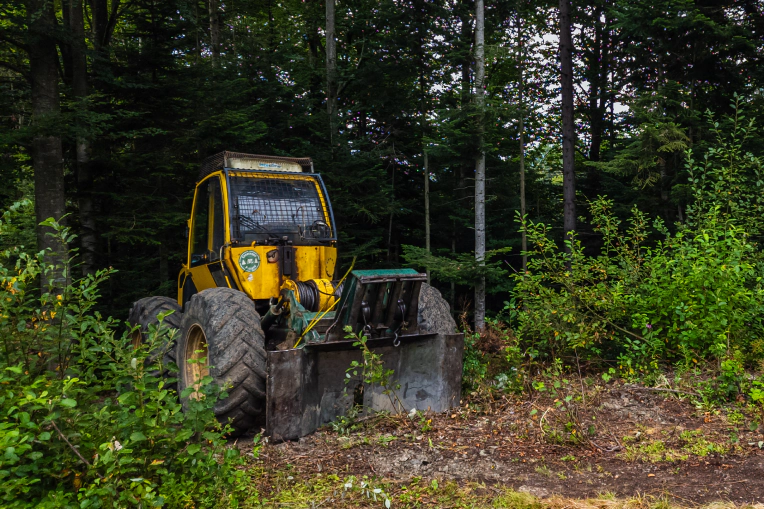 Forestry Mulching Services in Freeport, FL